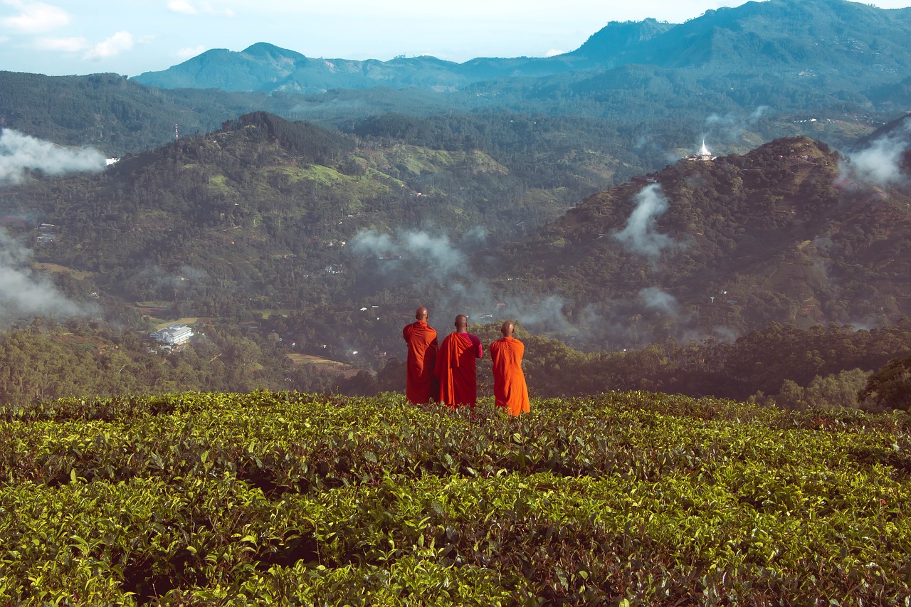 Dhamma Talk: Lest We Forget: The Defeat of Arahantship in Ancient Sri Lanka and Its Lessons for the Future